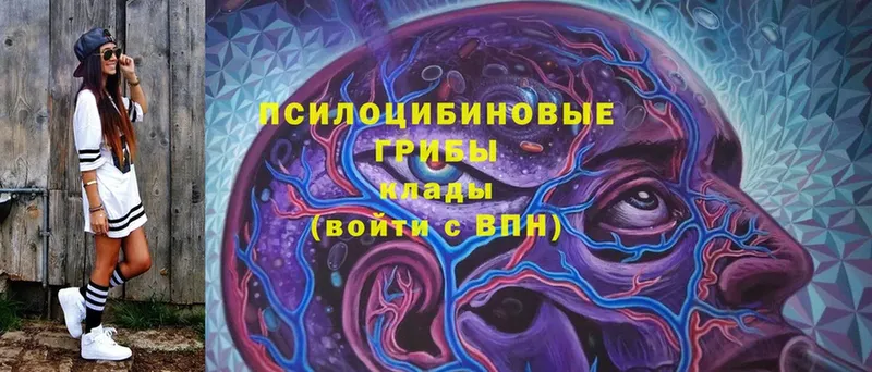 что такое   Нелидово  Галлюциногенные грибы MAGIC MUSHROOMS 